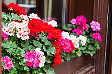 开发商承认《自杀小队：战胜正义联盟》出现剧透